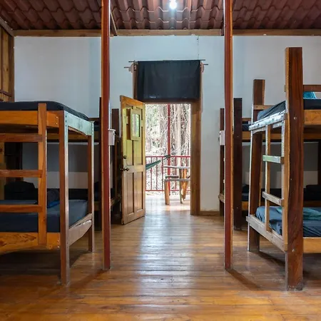 Hotel Burnt Toast Surfcamp